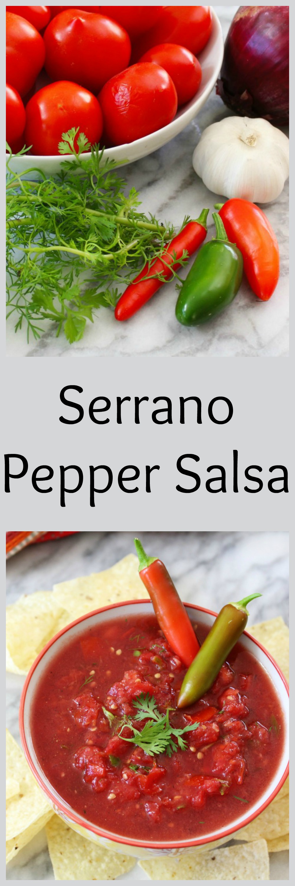 Serrano Pepper Salsa - PB + P Design